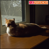 人気ブログランキングへ